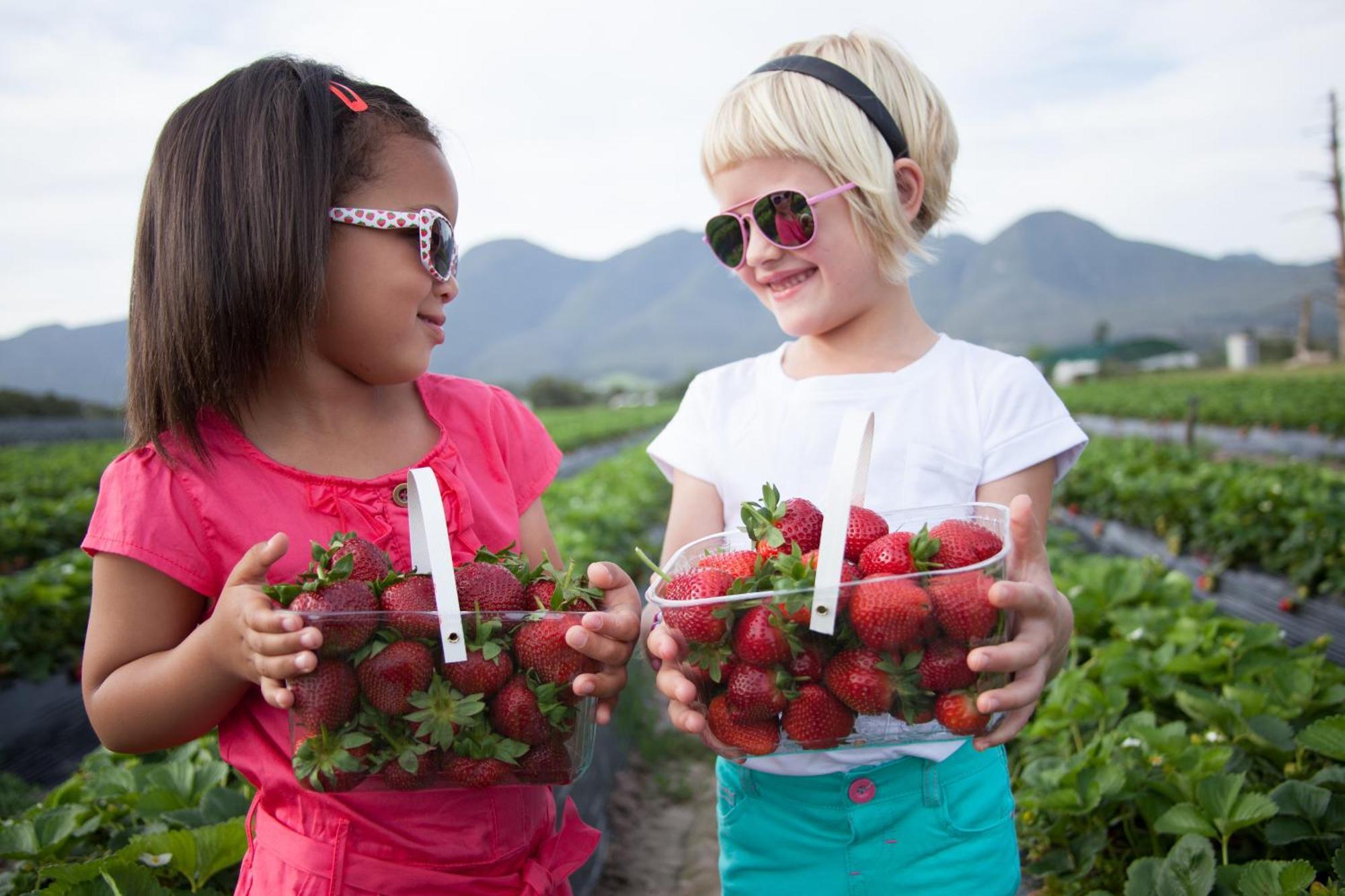 조지 Redberry Farm 빌라 외부 사진